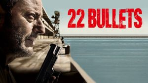22 Bullets's poster