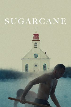 Sugarcane's poster