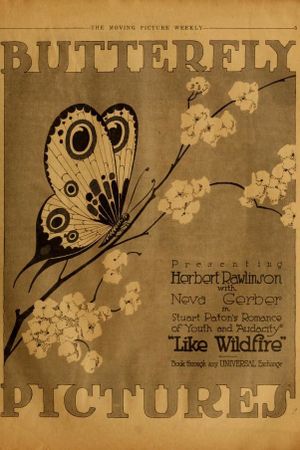 Like Wildfire's poster