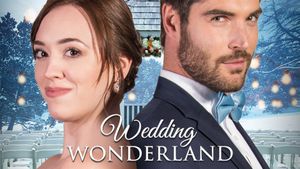 A Wedding Wonderland's poster
