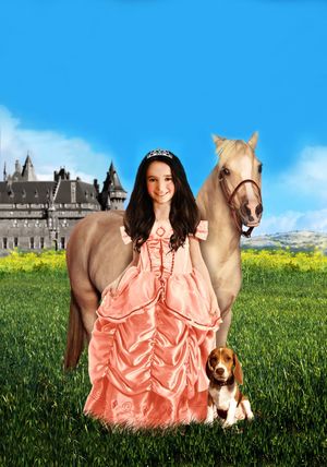 Princess and the Pony's poster