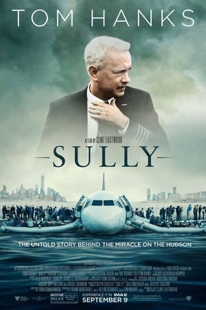 Sully's poster