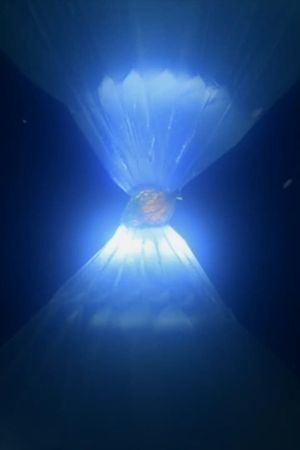Luka and the Flower of the Sun's poster