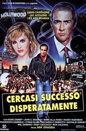 Desperately Looking For Success's poster