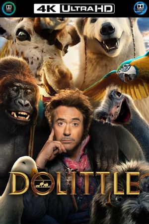 Dolittle's poster