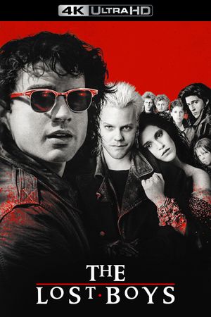 The Lost Boys's poster