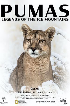 Pumas: Legends of the Ice Mountains's poster