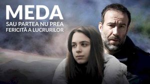 Meda or The Not So Bright Side of Things's poster