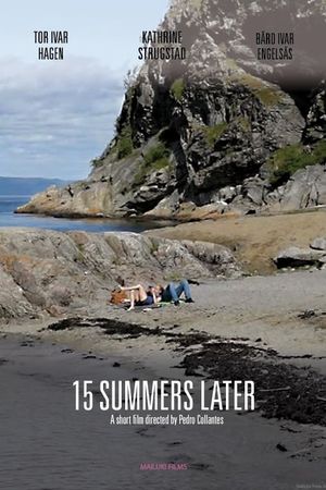 15 Summers Later's poster image