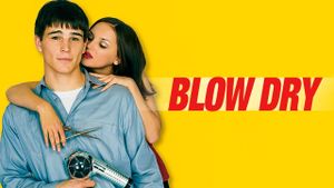 Blow Dry's poster