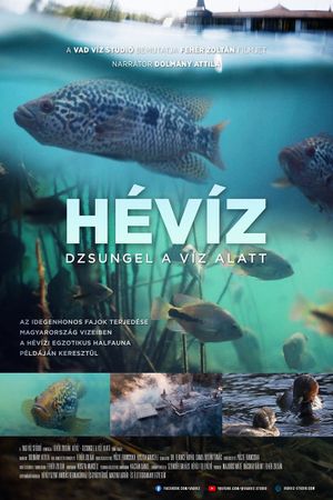 Hévíz − Dzsungel a víz alatt's poster