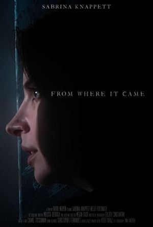 From Where It Came's poster