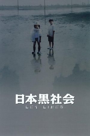Ley Lines's poster
