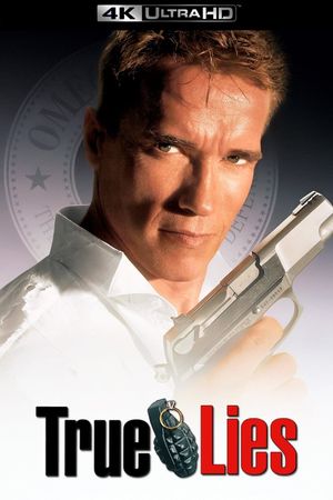 True Lies's poster