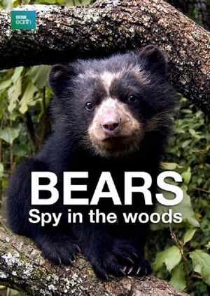 Bears: Spy in the Woods's poster