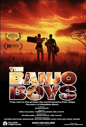 The Banjo Boys's poster image