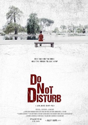 Do Not Disturb's poster