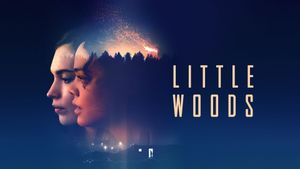 Little Woods's poster