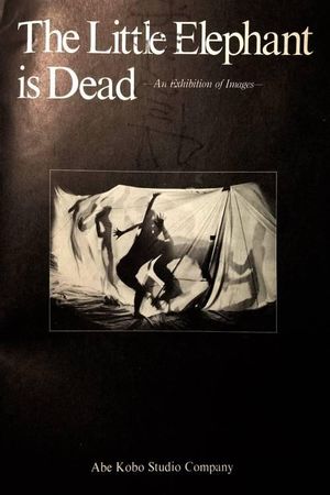 The Little Elephant is Dead / An Elephant Calf Is Dead's poster