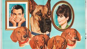 The Ugly Dachshund's poster