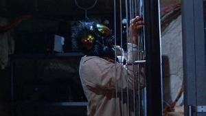 The Fly's poster