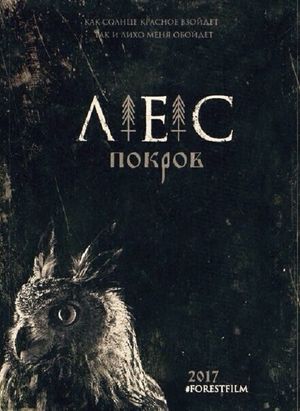 The Widow's poster