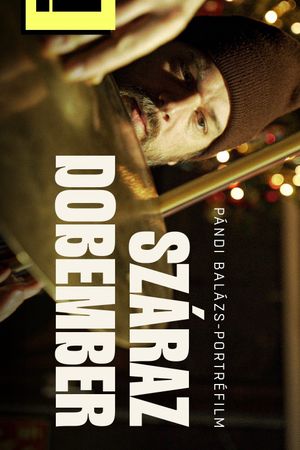 Száraz dobember's poster