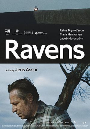 Ravens's poster