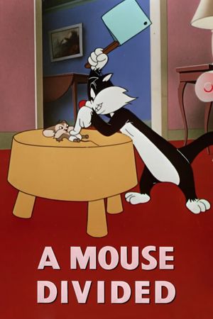 A Mouse Divided's poster image