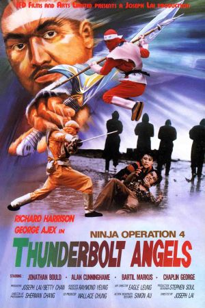 Ninja Powerforce's poster