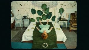 Daisies's poster
