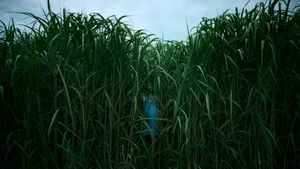 In the Tall Grass's poster