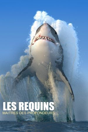 Les requins, maîtres des profondeurs's poster