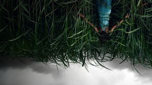 In the Tall Grass's poster
