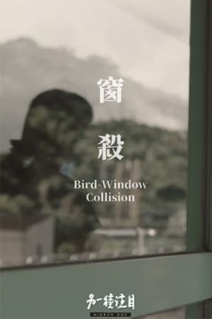 Bird-Window Collisions's poster