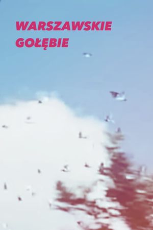 Warszawskie gołębie's poster