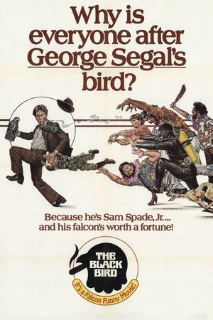 The Black Bird's poster