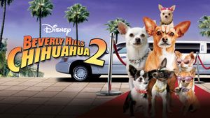 Beverly Hills Chihuahua 2's poster