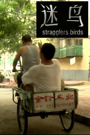 Stragglers Birds's poster