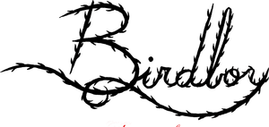 Birdboy's poster