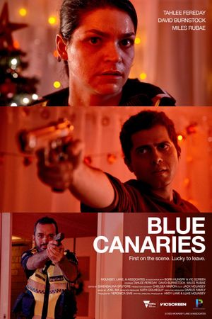 Blue Canaries's poster