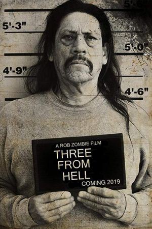 3 from Hell's poster