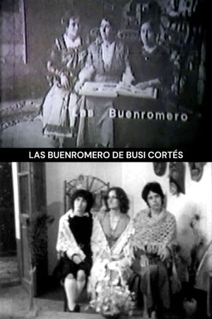 The Buenoromeros's poster