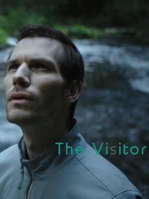 The Visitor's poster