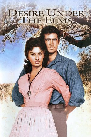 Desire Under the Elms's poster