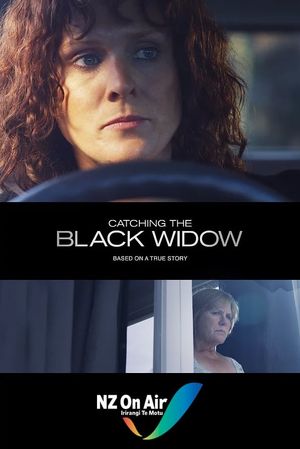 Catching the Black Widow's poster
