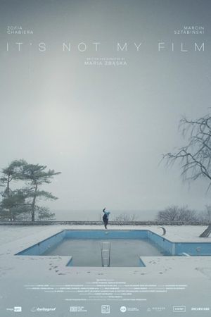 It's Not My Film's poster
