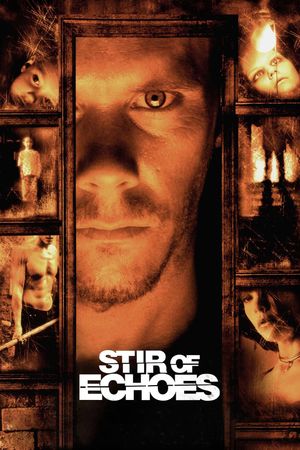 Stir of Echoes's poster