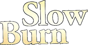 Slow Burn's poster