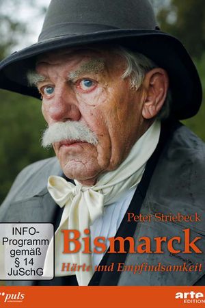 Bismarck: le dernier combat's poster image